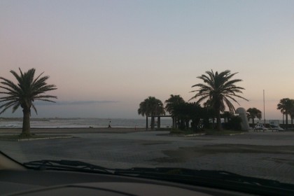 o0800060013466186782