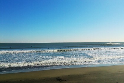 o0671050113549700331