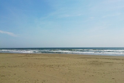 o0671050113629246748