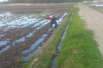 o0720096013619029211