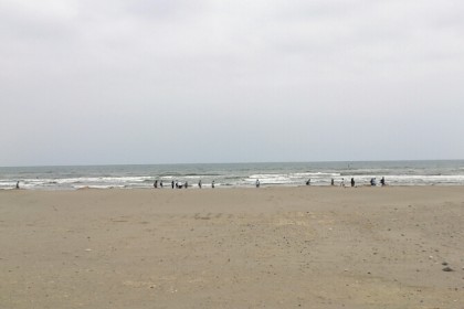 o0671050113635235252