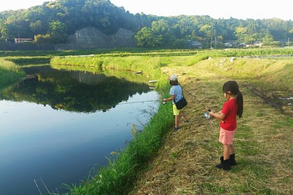 o0671050113638439963