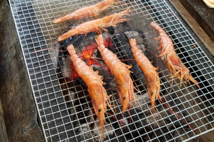 B56BF0ED-EDF6-4BD8-A714-6CF7B526F5D0