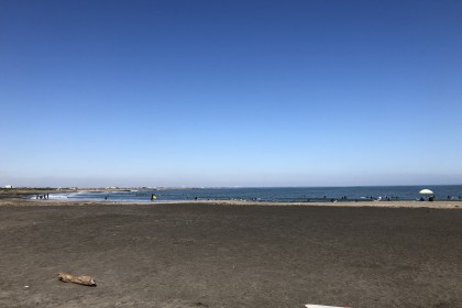 7F1E7A02-C86E-4A0C-8BD3-047FCD62DBAD