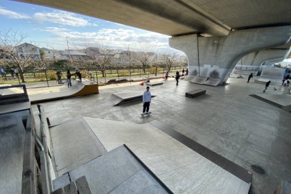 36C3D2A2-7AE5-439B-911F-DE1A1C43E97B