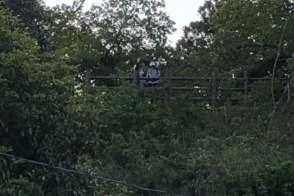 27A0F8F6-8D47-4085-ACDC-C045E42D1EBD