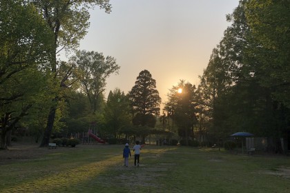 7E3FAB1C-4E33-4634-8D11-466606FAB056