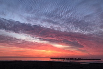 40FBCAD5-388B-43F8-BF51-A19D789D5EE2