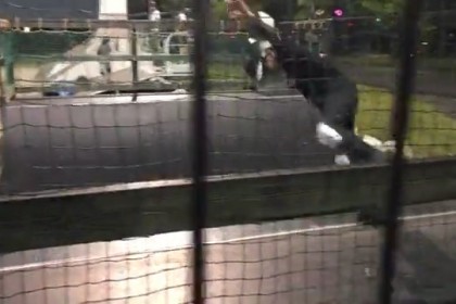 E115AA9A-B2F9-4468-9ABA-D2B20F777A9C