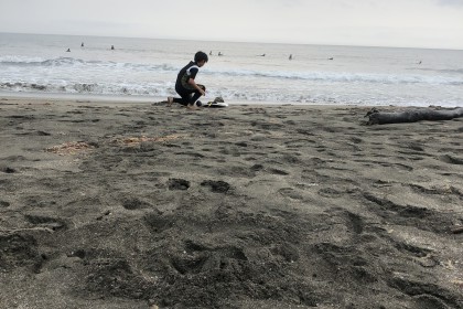 8E7727AC-78A1-4355-83E7-875D722534C5