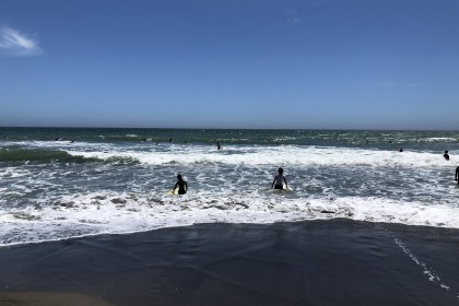 368605EC-B521-41AB-8DC3-E08E461987F7