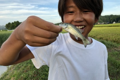 A7726FB6-C4B4-4321-8CE2-336E1714859A