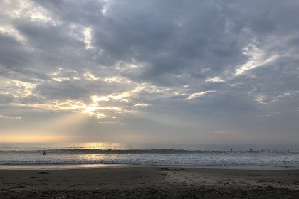 B67C95C5-C830-4611-AC5B-64A015D4F7BD