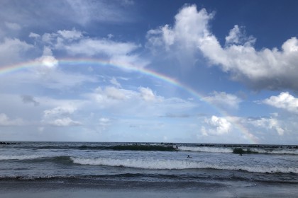 F346D24F-63C2-495E-8FBF-ACD7349D01B3