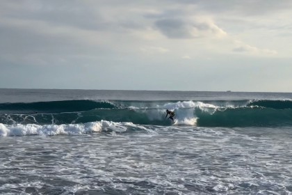 79EAC010-8521-4AEC-9069-BE0F2786888D