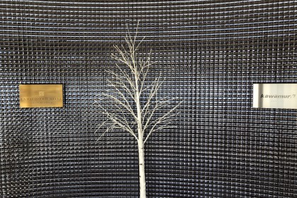 1072CB17-C4E9-4890-99F4-E55D7653E9D4