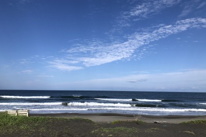 8B5D0251-B8A6-41DD-8762-5BE5A396CA4F