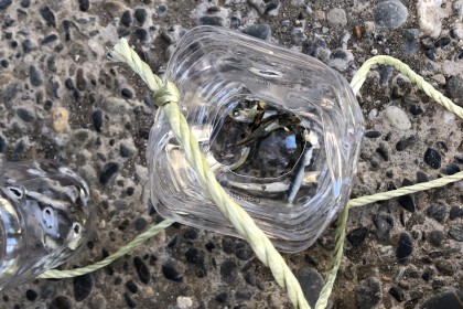 A27EA28F-89E0-4FE4-93C6-3CD3BD21F9AA