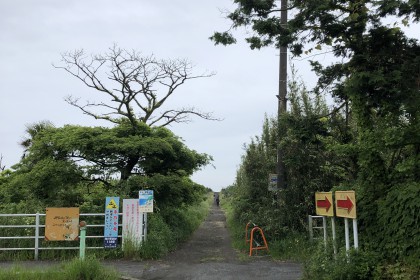 2D6EE3E1-39F2-411B-A241-7C4CFD4CB394