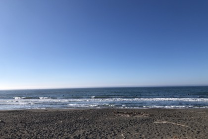 D3F4CB8C-D78F-4407-AA01-F5AFB44A0CCC