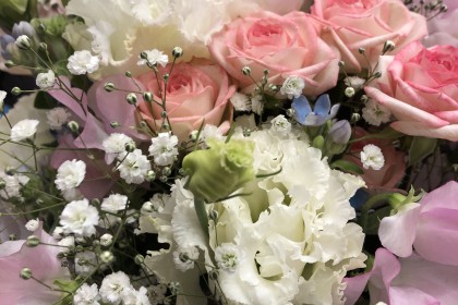 55DA5376-F4A8-4738-A1BF-FDE575DD3D4C