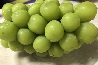 EC927264-5939-4FB6-953B-207B3353E507